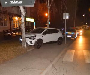 Nehoda, ktorú spôsobil opitý vodič. FOTO: FB/Polícia SR - NItriansky kraj