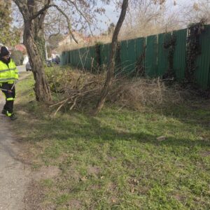Údržba zelene v Nových Zámkoch. FOTO: FB/Novovital