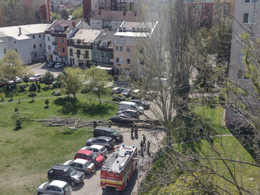 Strom spadol neďaleko autobusovej stanice. FOTO: FB/Dusan Stancek